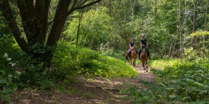 Van Wijnen_Diepstroeten_06